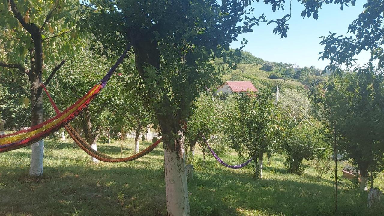 Casa Lorena ساراتا مونتورو المظهر الخارجي الصورة